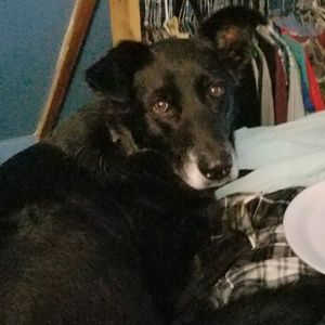 Meet your Posher, Karla